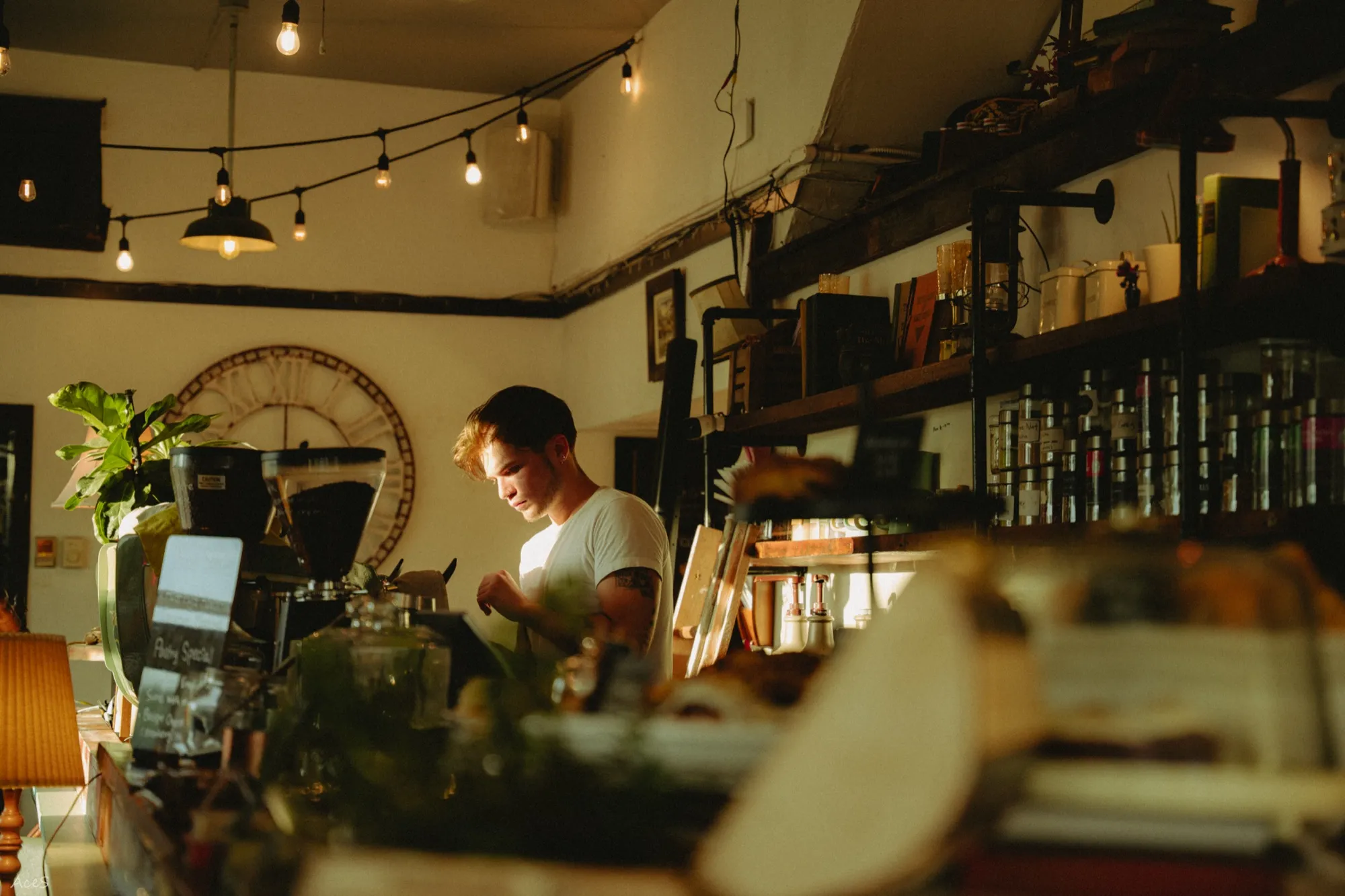 Barista working behind counter bathed in golden hour light with string lights overhead