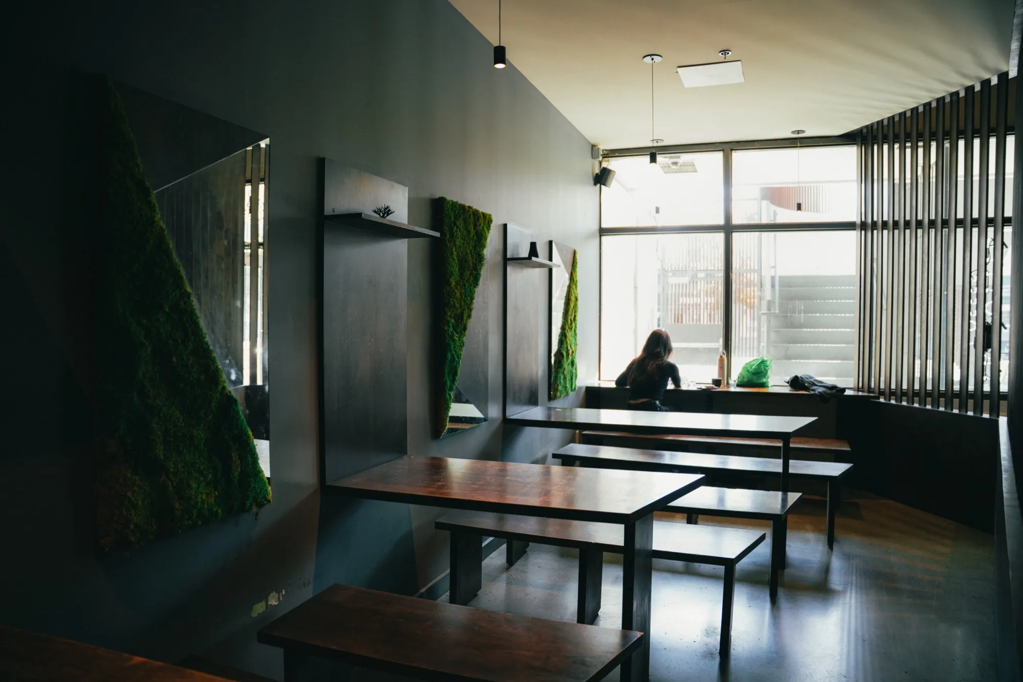 Modern cafe interior with moss wall art installations and minimalist wooden bench seating