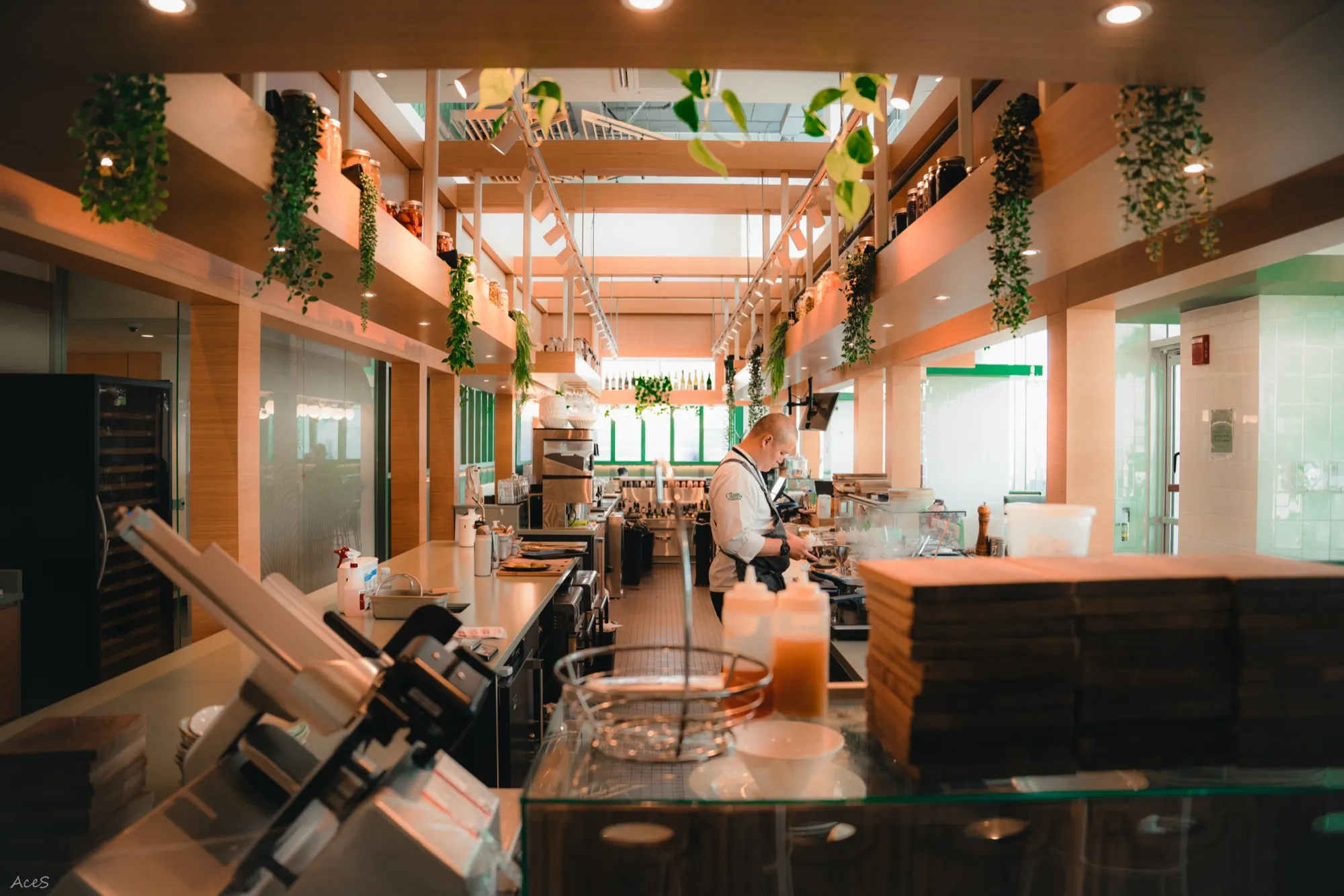 Modern restaurant open kitchen with chef working surrounded by hanging plants and greenery