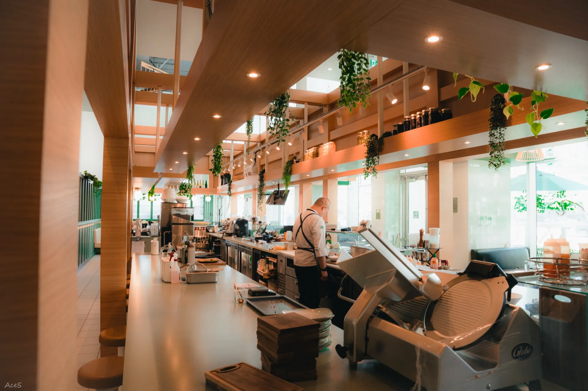 Wide view of restaurant open kitchen with chef, hanging greenery, and commercial equipment