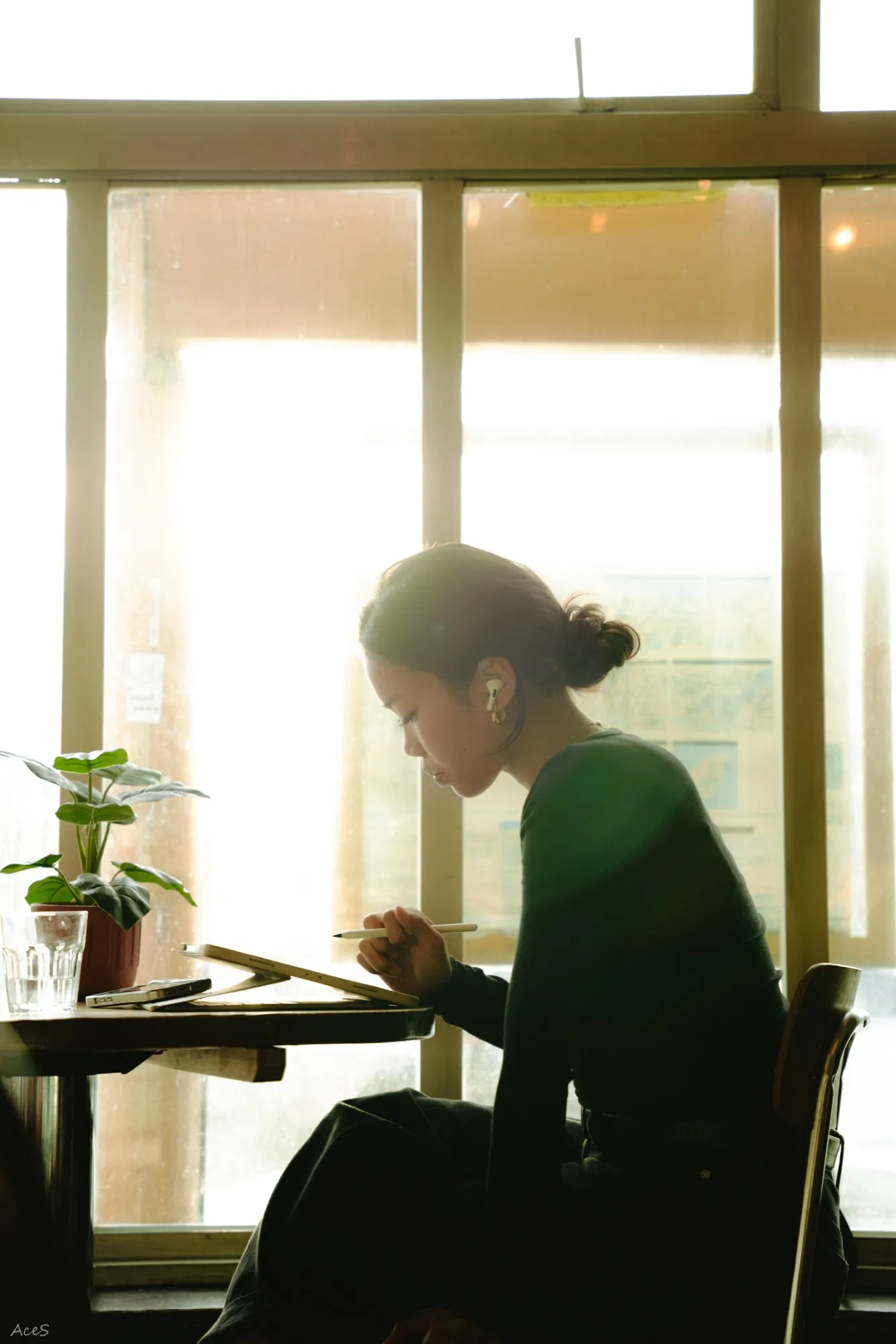 Woman working on tablet in cafe silhouetted against sunlit window with plant